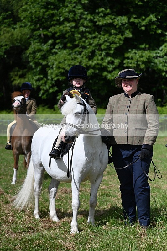 WJ7_0852 - Class 8 First Rally Pony
