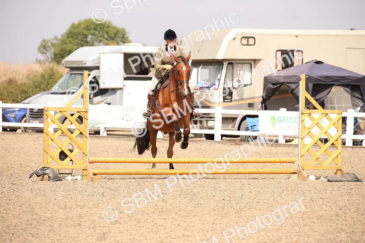 SBM_12887 - Class 406a - Working Veteran 50cm (15-19)