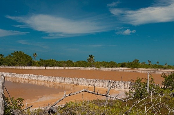  - Yucatan, Mexico