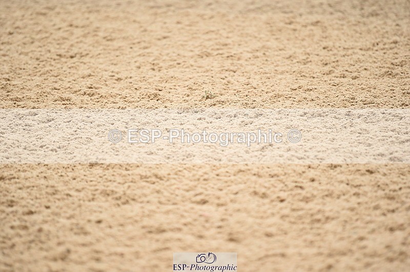 230416A-110844-03997 - AE 80cm