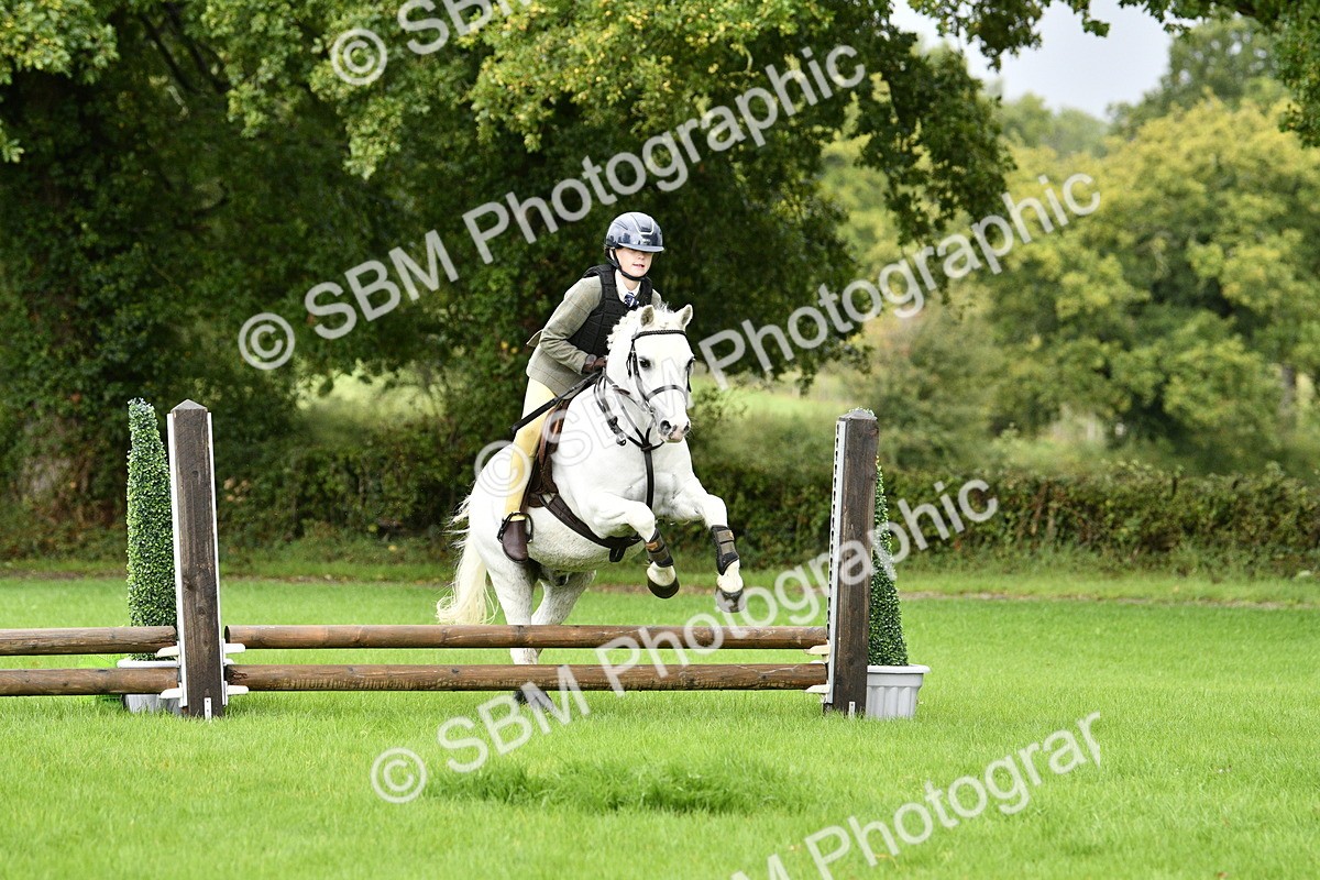 SBM_35469 - S30 - Nursery Stakes Working Hunter Pony