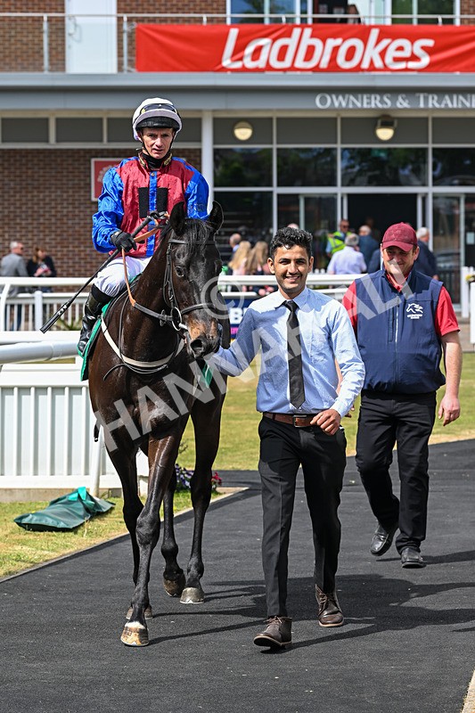 030525-Race 2-Under The Radar-2649 - Race 2