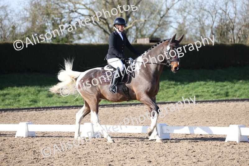 20260214-0517 - Class 5 - Novice 3