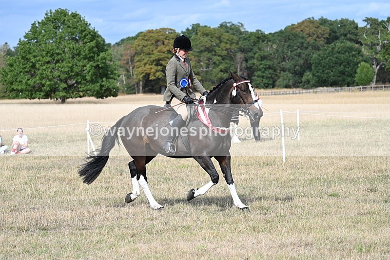 WJ7_7890 - Ridden Championship