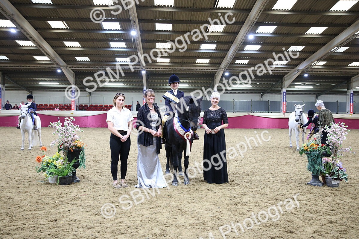 SBM_19050 - Class G Ridden Pony Champ