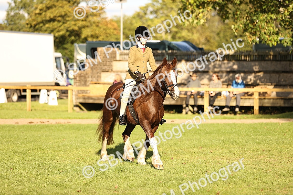 SBM_29391 - S7 - Novice & Newcomers Ridden Pony