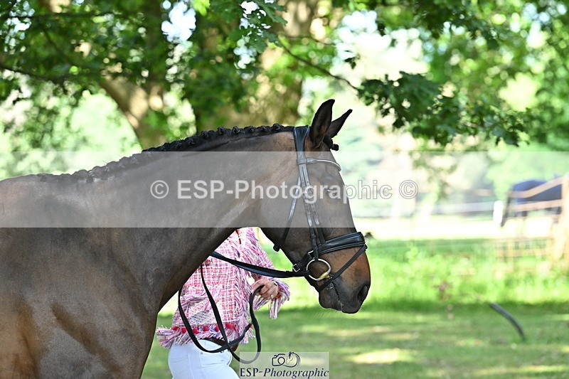 250521A-154727-00763 - B-366-Ginny.Howe-CHF.CAPTAIN.JACOB