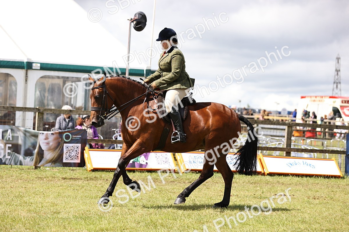 SBM_14558 - Class 88-89 - LIHS BSHA Rising Star of Ridden Hunter Type