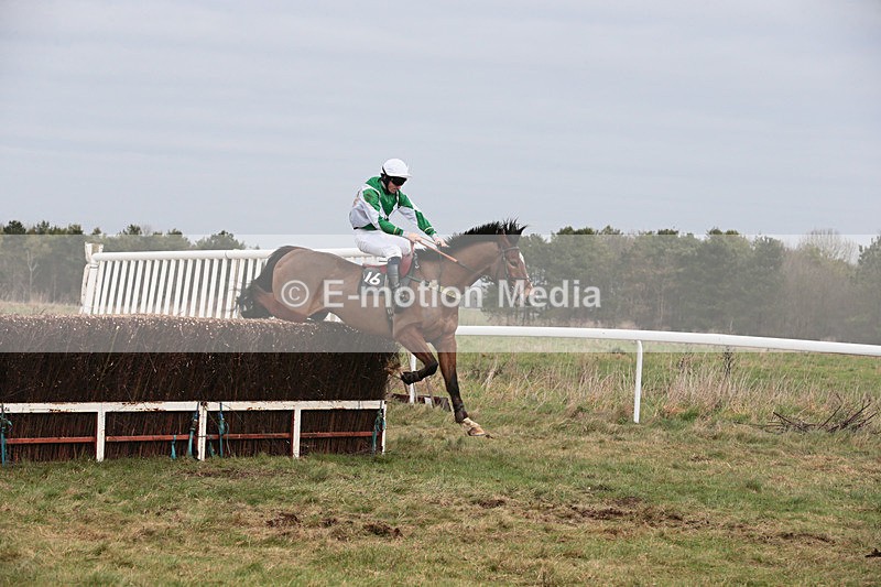PtP 060119 164 - Larkhill Racing Club - Point-to-Point- 06/01/2019