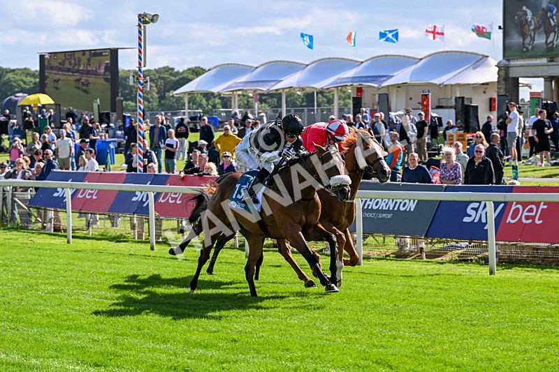 120626-Race 6-Rotokura Belle-8258 - Race 6 16.45pm Dawson Williamson Architects Handicap