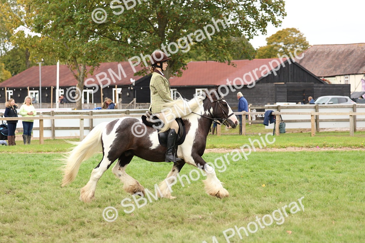 SBM_64547 - S58 - Coloured Pony Ridden