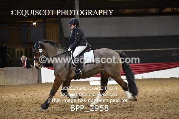 BPP_2958 - ELEM TEST 4