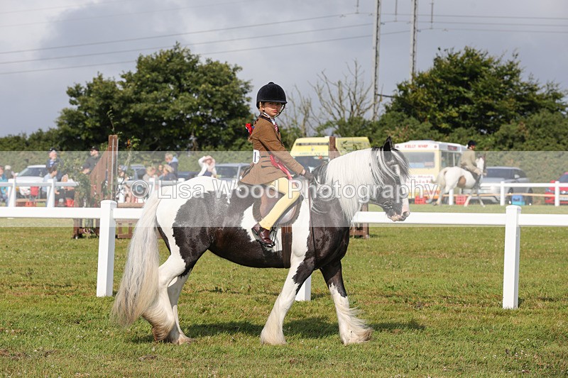 1X9A3445 - Skewbald and Piebald Ridden Championship