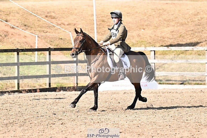 250823A-095333-25176 - NAF Round 1 9.30 to 10.30