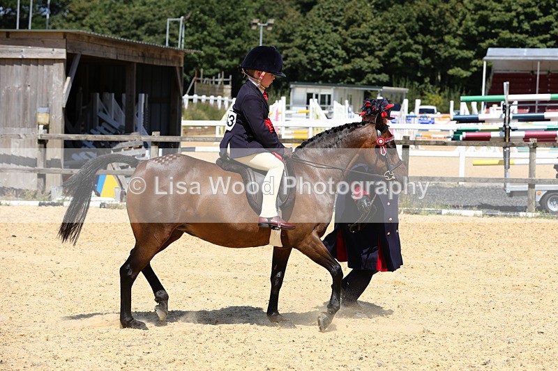 1X9A8952 - Ring Three Championship