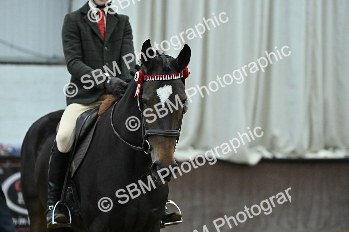 SBM_002063 - Class 23 - BSHA Ridden Show Hunter