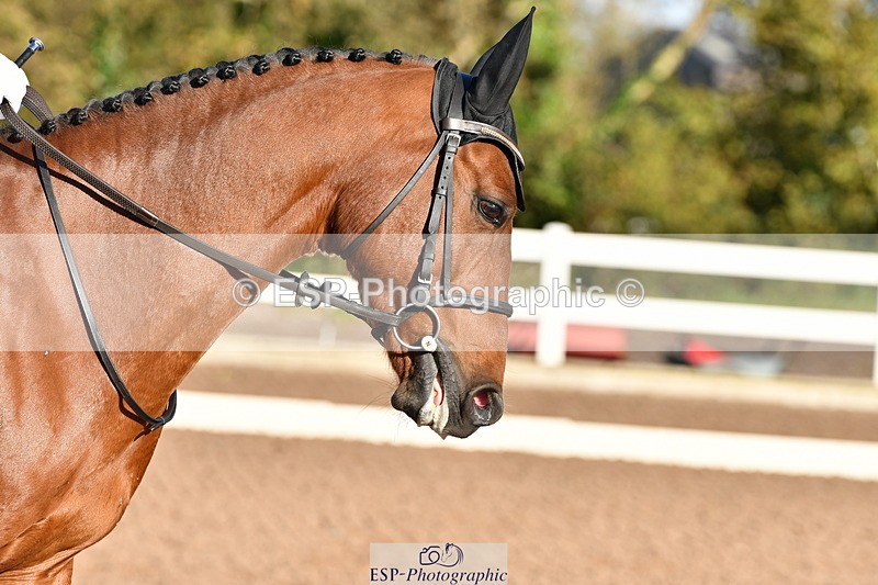 231105A-102428-00090 - UnAf Prelim 12