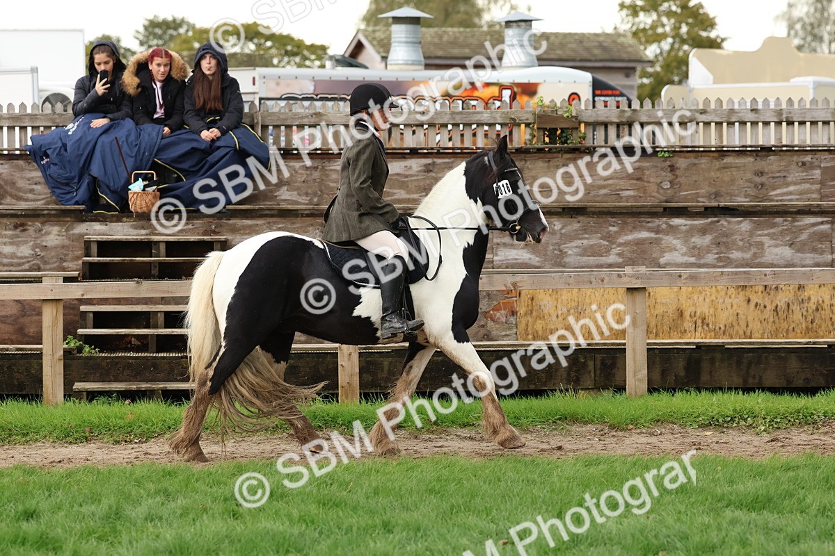 SBM_44956 - S27 - Young Veteran Ridden