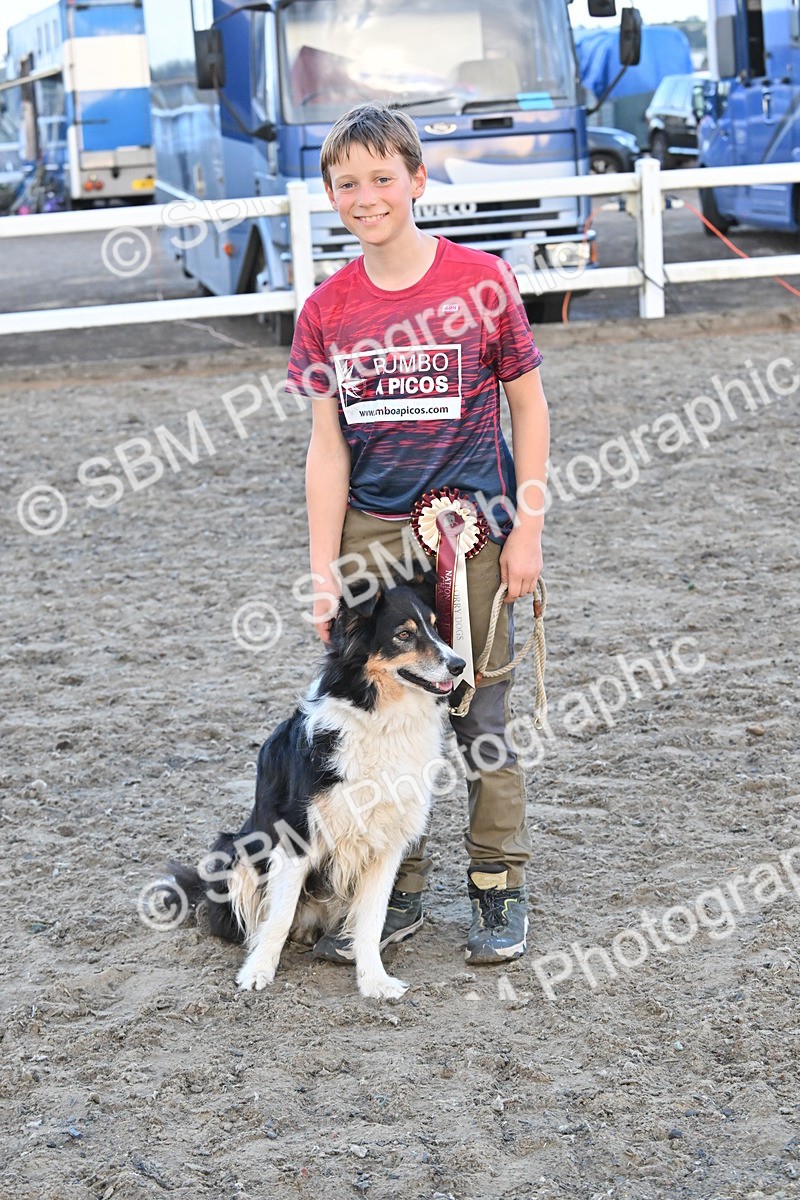 SBM_09578 - Lorry Dogs
