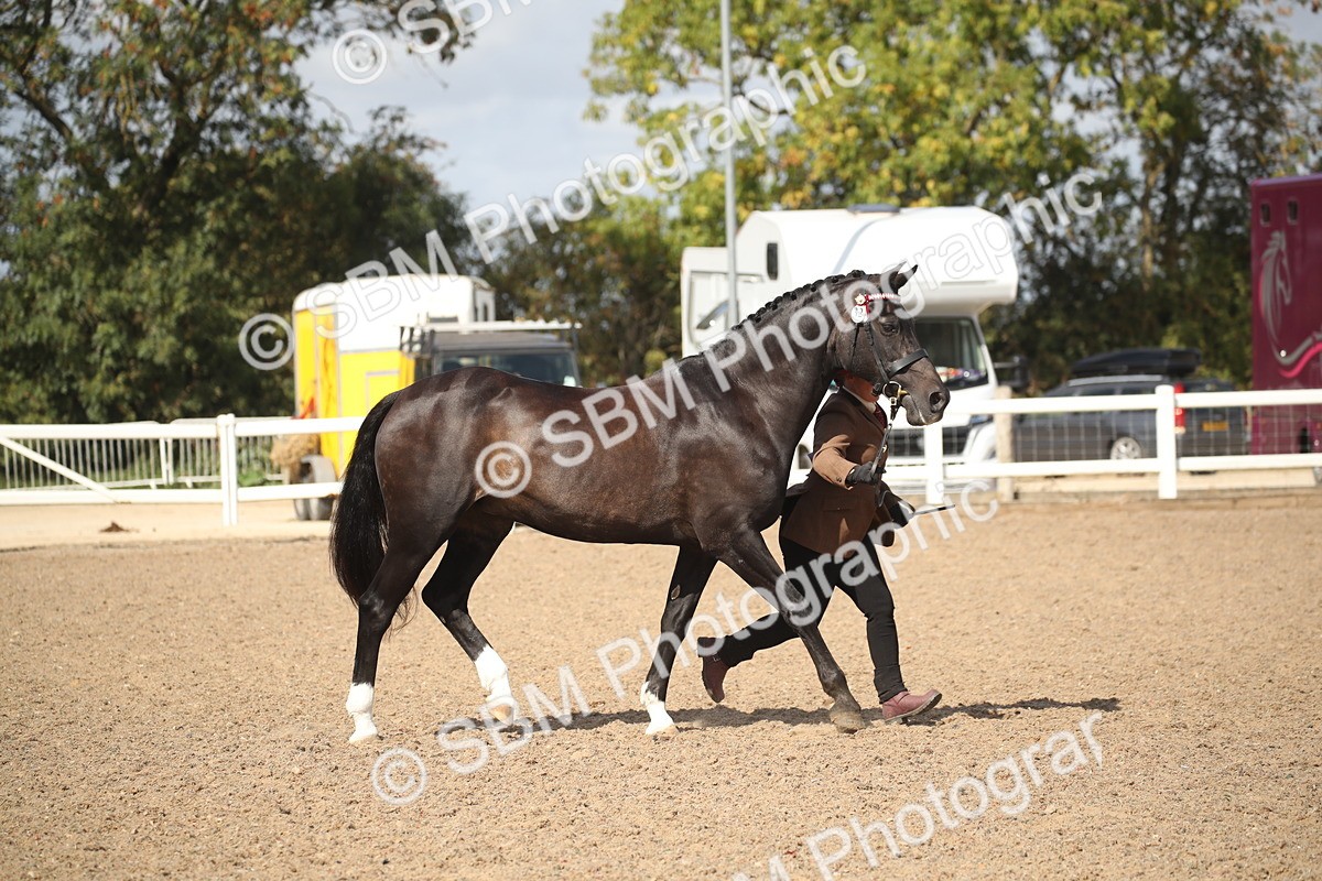 SBM_23417 - Class 604 - 2026 - Area IH Diamond