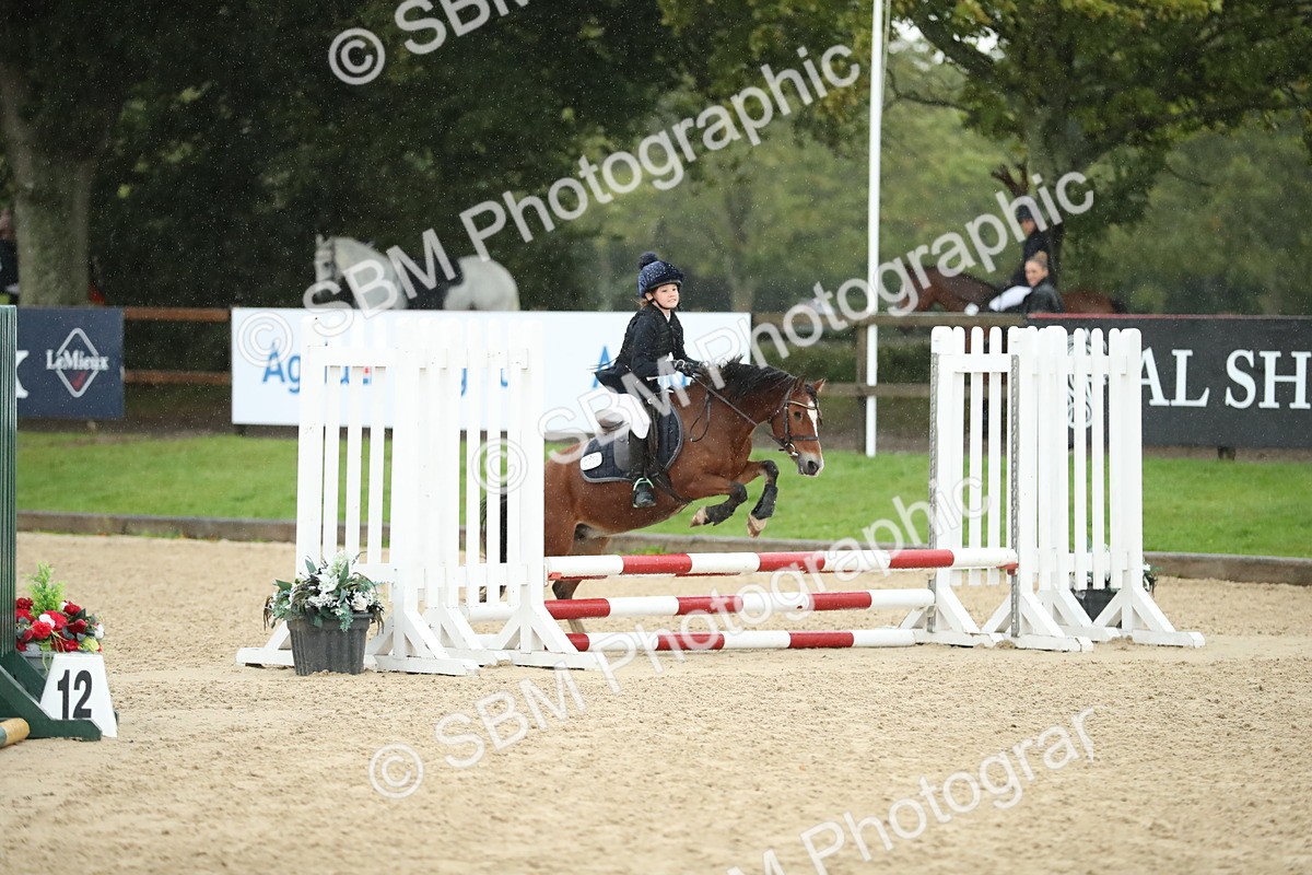 SBM_34332 - J60 Clear Round 50cm