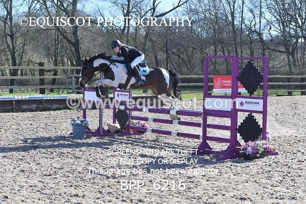 BPP_6216 - CLASS 8 SAT Pony BritiNovice / 0.80m Open