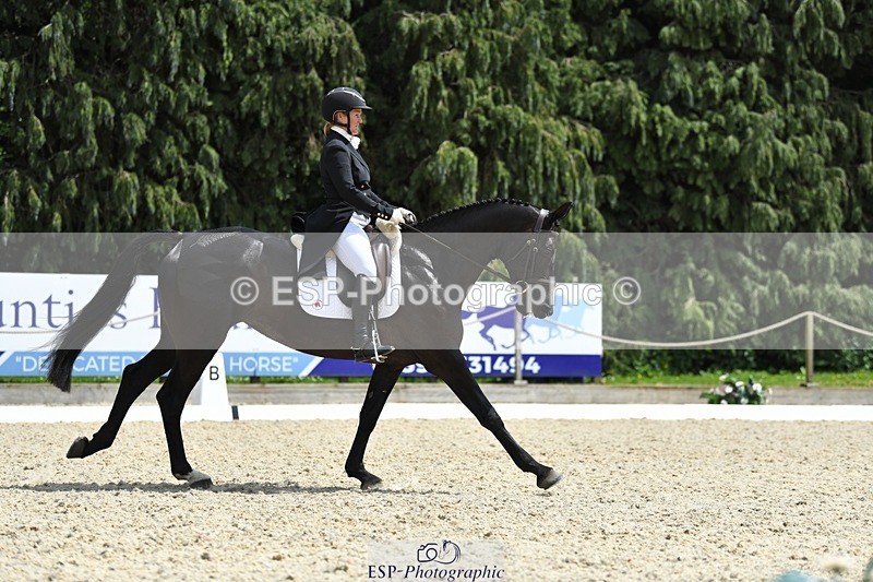 230525-140425-03082 - 317-FERNHILL_KANKAN-Jonelle_Price-WEDTrotUp+DR