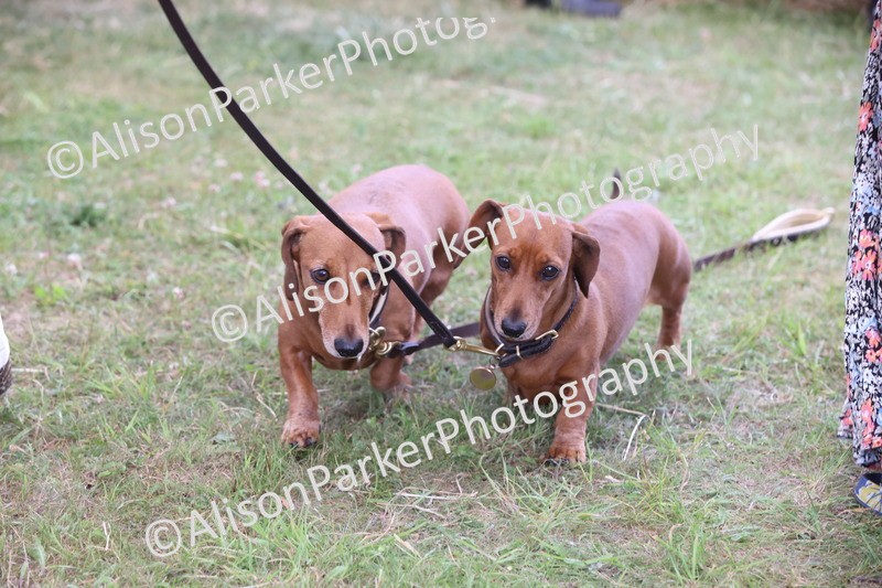 20250607-0457 - Best in Show