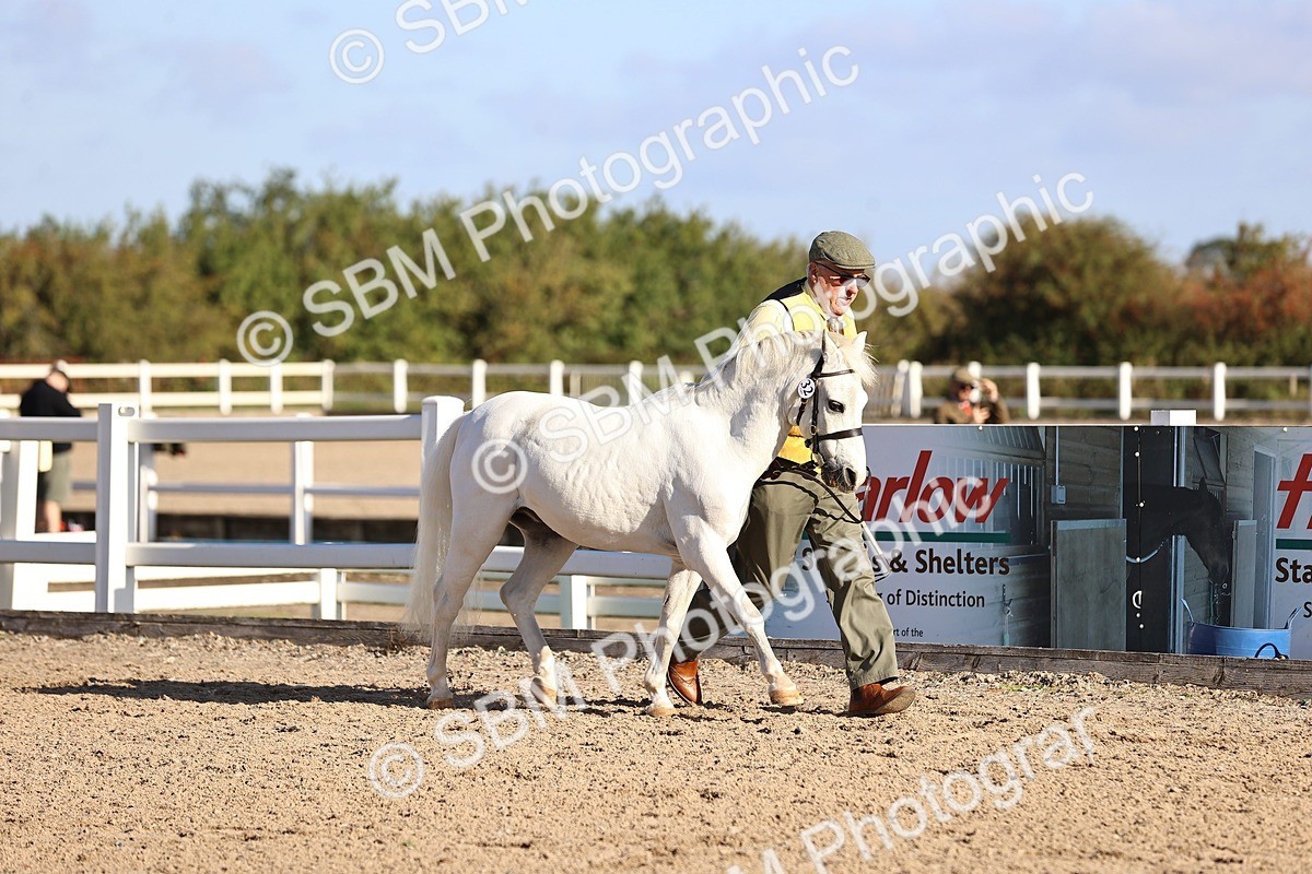 SBM_08429 - Class 402 - IH Veteran Pony