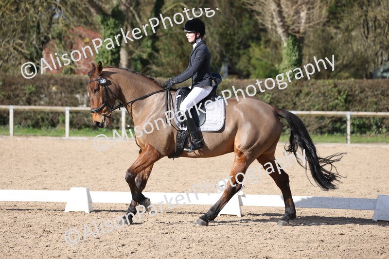 20260228-0786 - Class 5 - Novice 2