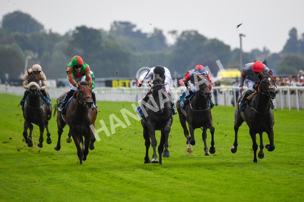 100923-Race 2-Florida-0504 - Race 2 2.15pm John And Judith Marshall Memorial Handicap