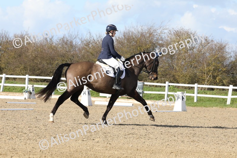 20260314-5039 - CT6 - Elementary 1