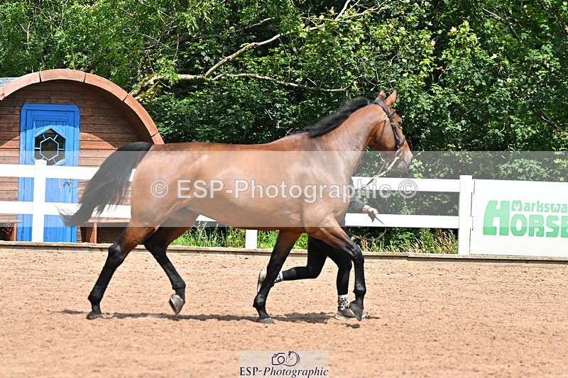 240718A-105305-01554 - Trot Up 1pm to 2pm