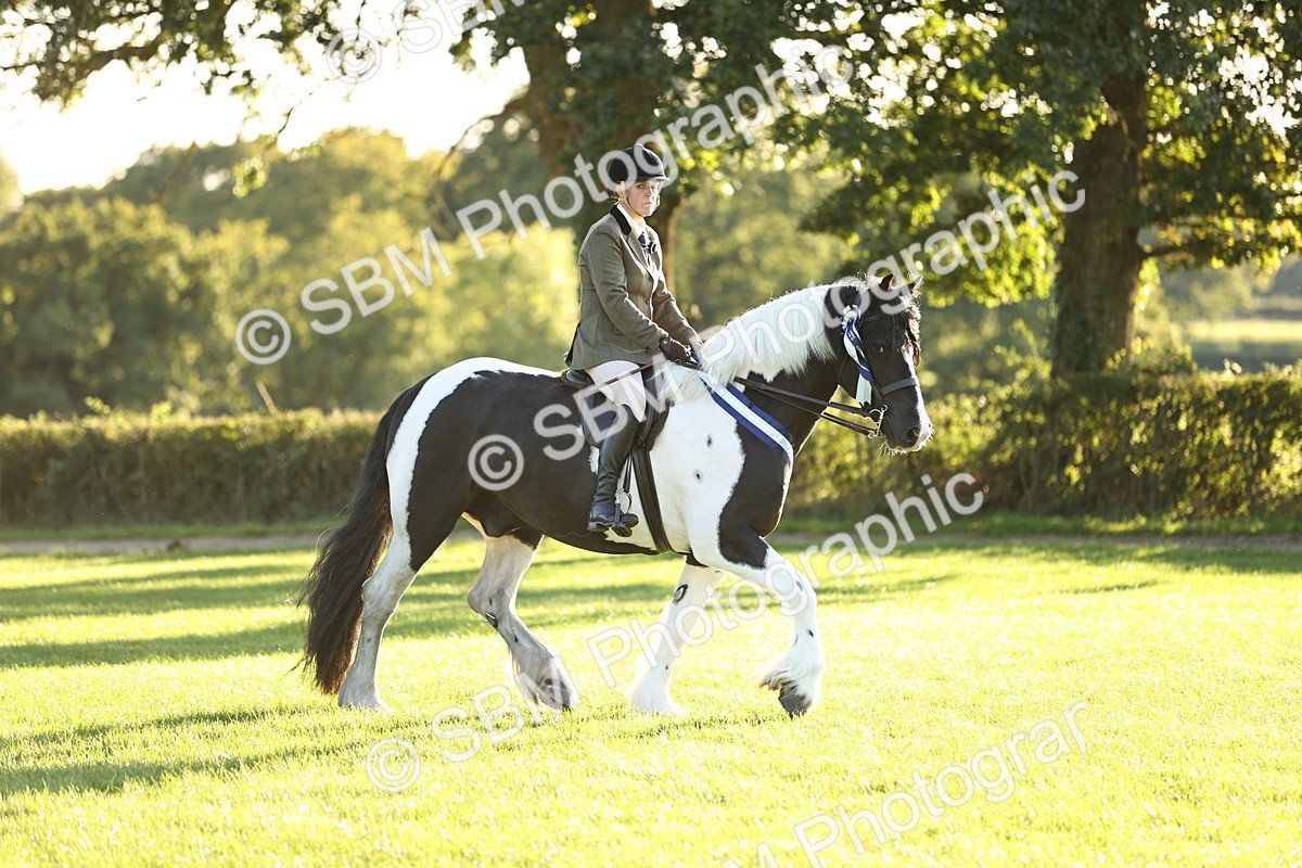 SBM_30157 - Novice & Newcomers Supreme Championship