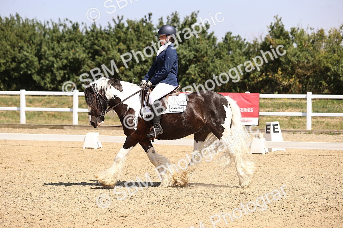 SBM_003752 - Intro 2