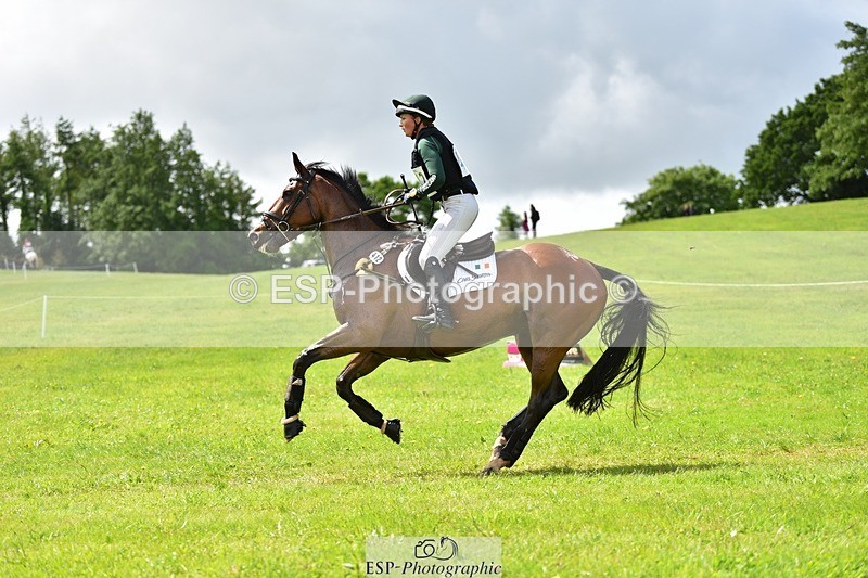 240526-113244-20953 - 412-WELLFIELDS_LINCOLN-Susie_Berry