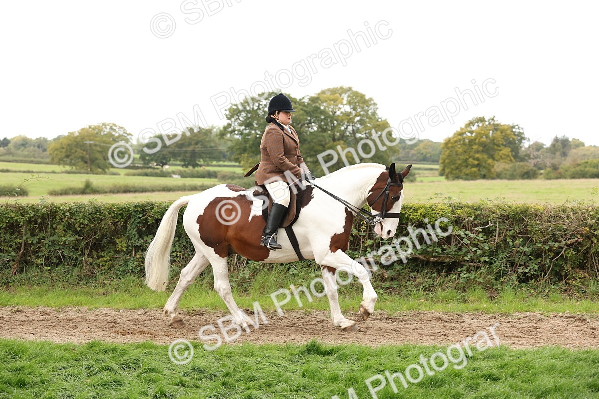 SBM_67235 - S67 - Piebald & Skewbald Horse Ridden
