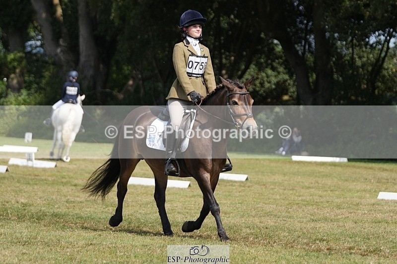 250823A-134729-31076 - Arena B