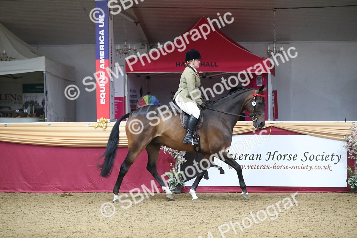 SBM_12316 - Class 108 Ridden Retired Racehorse- Pre Judging