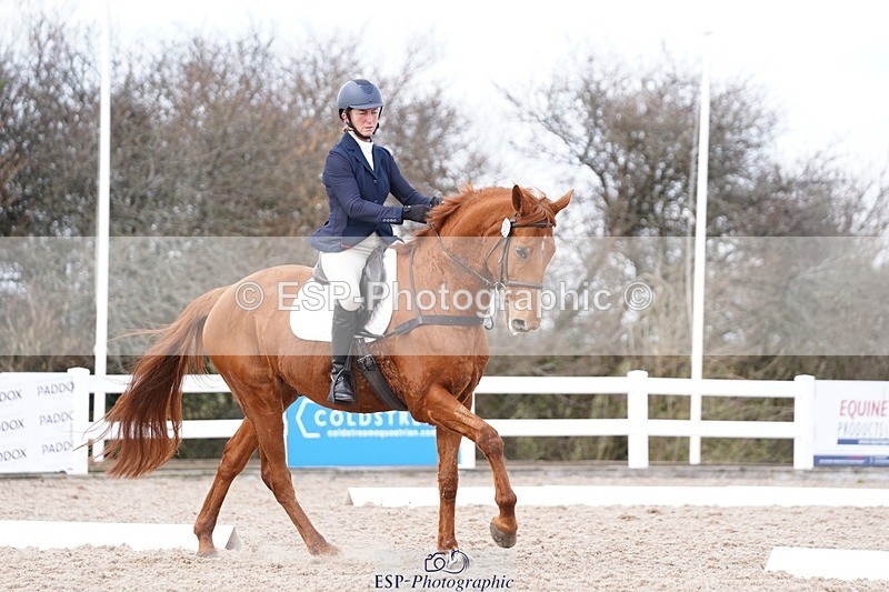 250322-132006-00483 - DR Elementary 2 Test