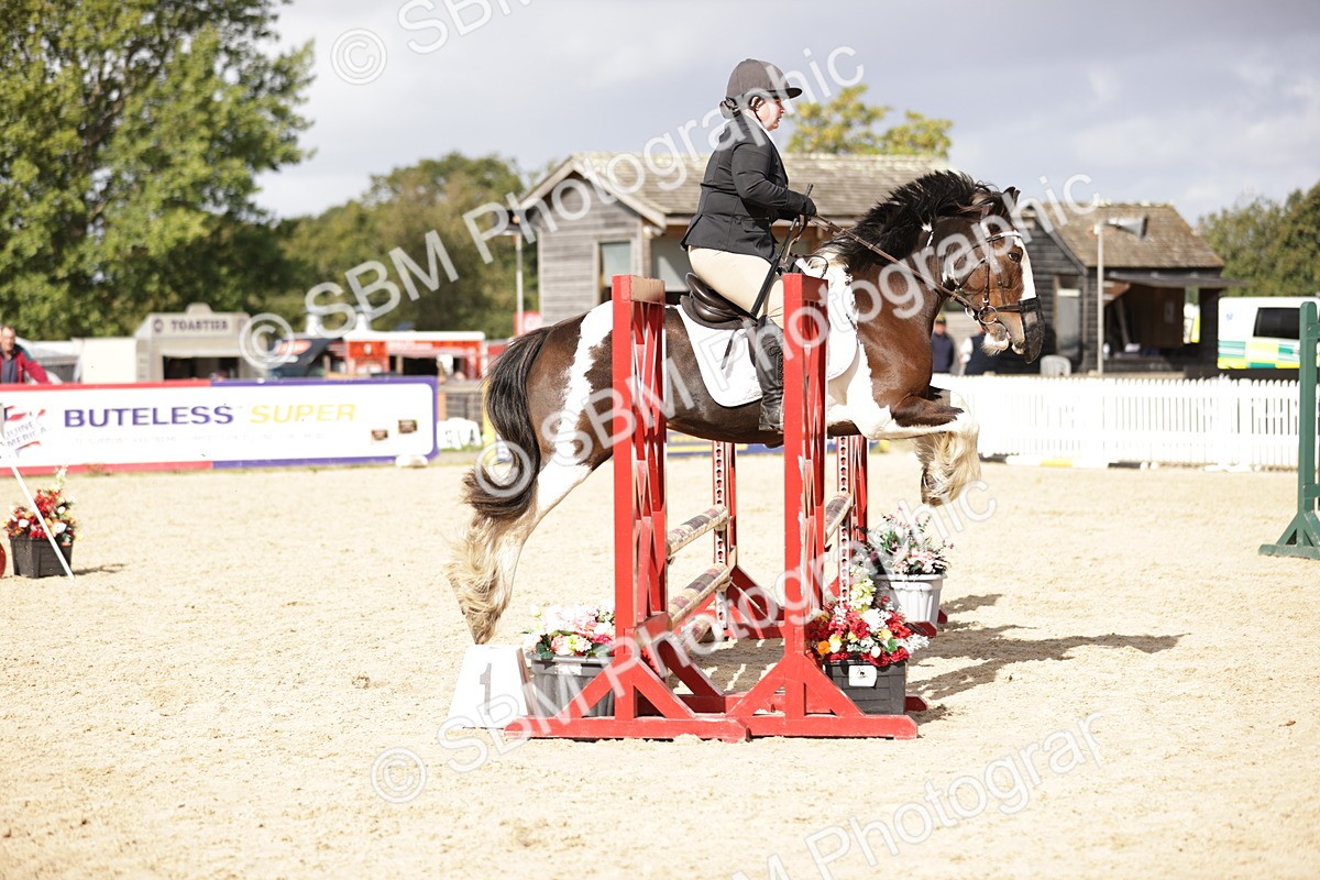 SBM_18708 - J33 - Senior 75cm Championship