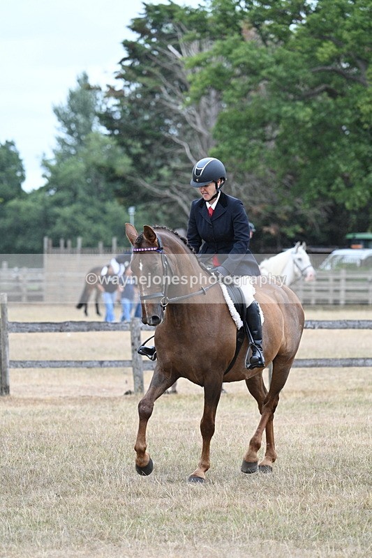 WJ7_0860 - Class 7 Riding Club Show Horse