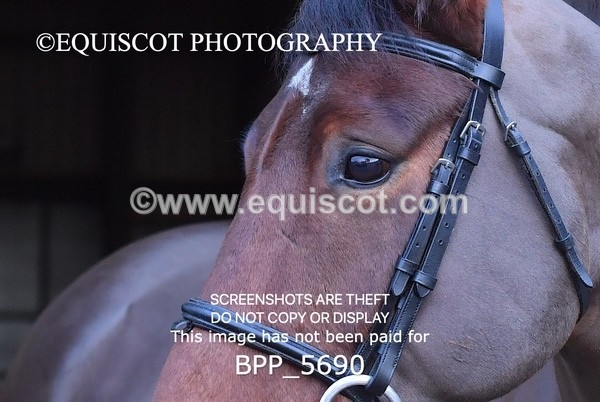 BPP_5690 - Imogen Gray