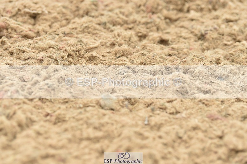 250622-113854-14354 - Quest Cls 25-30 Prelim Tests