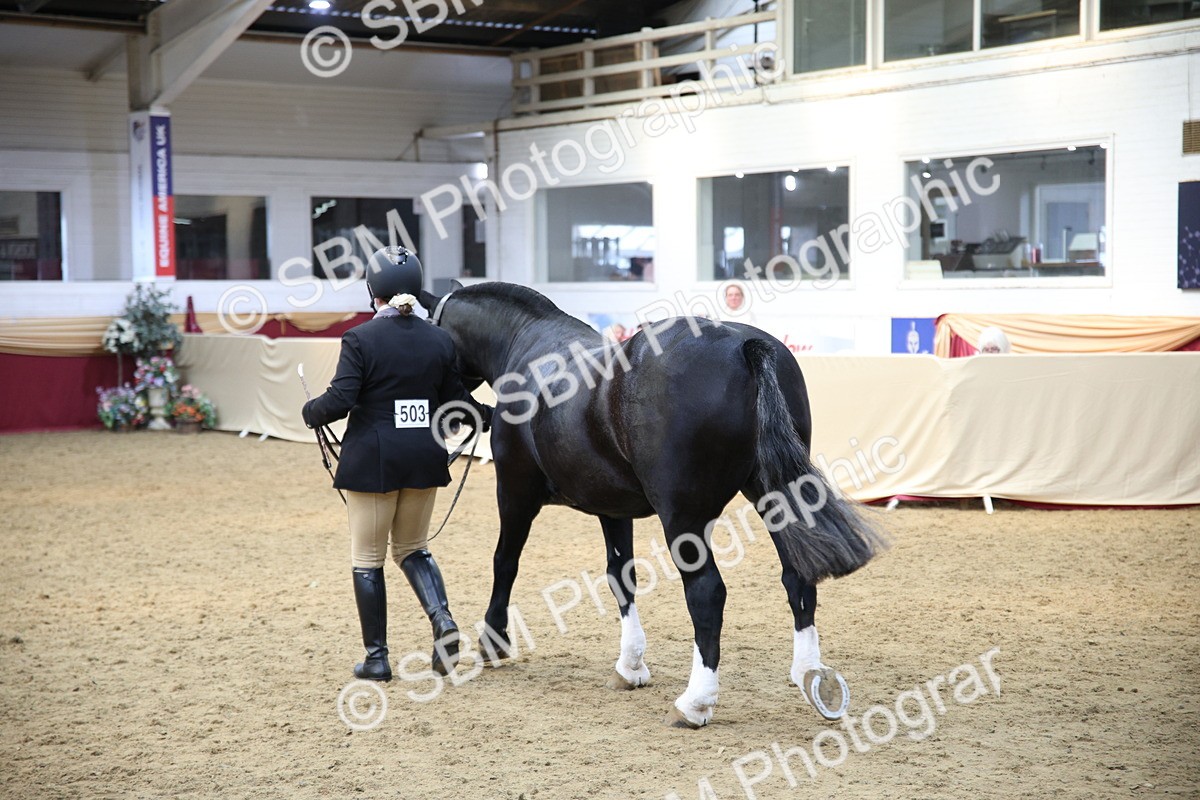 SBM_24289 - Class 905 - Supreme Final - Ridden Veteran