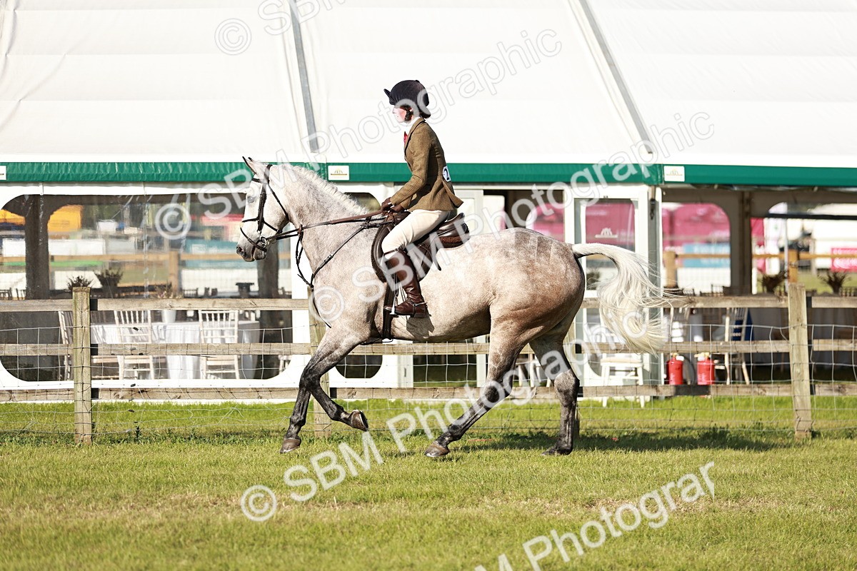 SBM_19999 - Class 115-116 - LIHS BSHA Rising Star Working Hunter & Show Horse