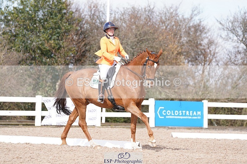 250322-110624-00206 - DR Elementary 1 Test