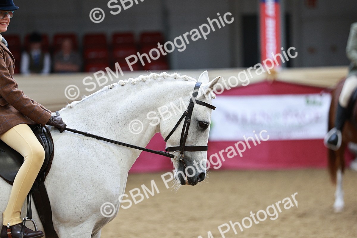 SBM_03019_Class 5a - Area - Ridden Veteran - Vicky Gutteridge