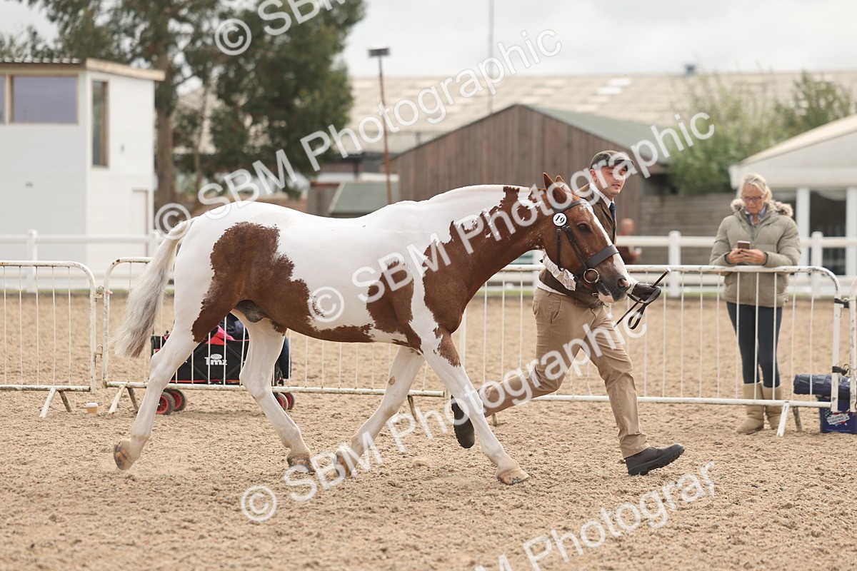 SBM_02087 - Class 15 - IH Coloured