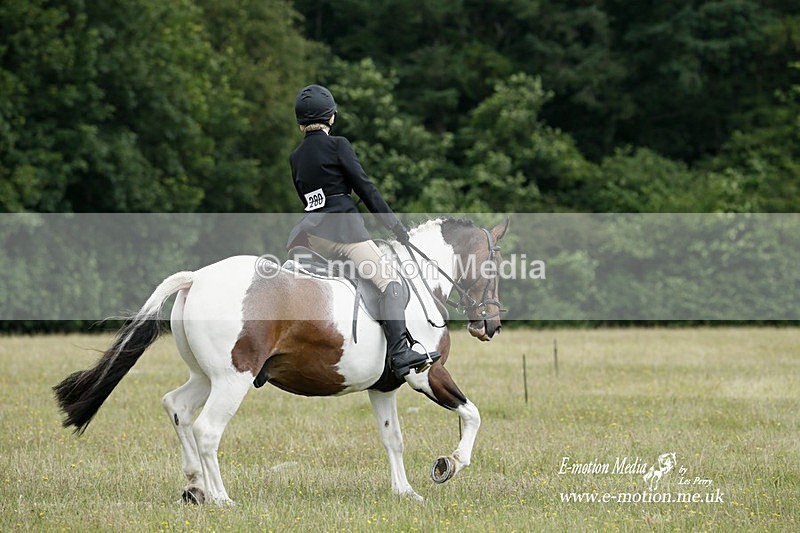 BVRC 030721 159 - Bourne Valley Riding Club Dressage 03/07/21